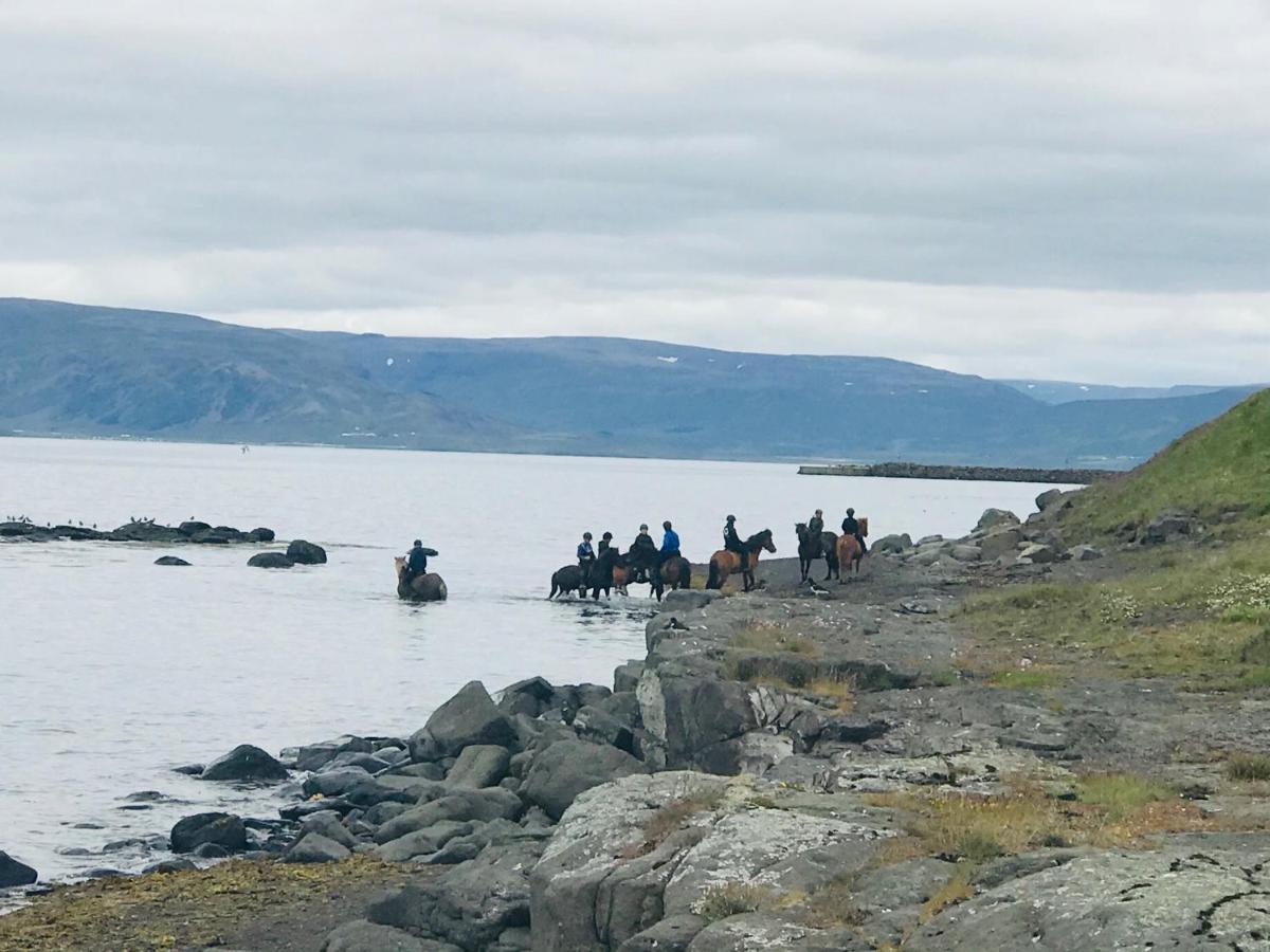 The Castle Leilighet Budardalur Eksteriør bilde